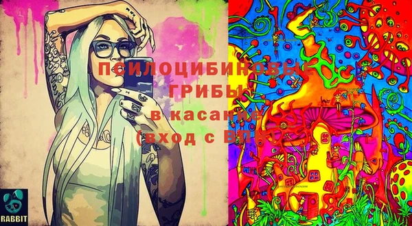 дживик Медвежьегорск