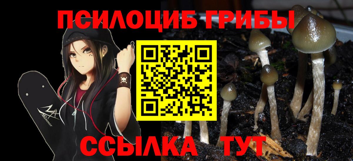 Псилоцибиновые грибы MAGIC MUSHROOMS Родники